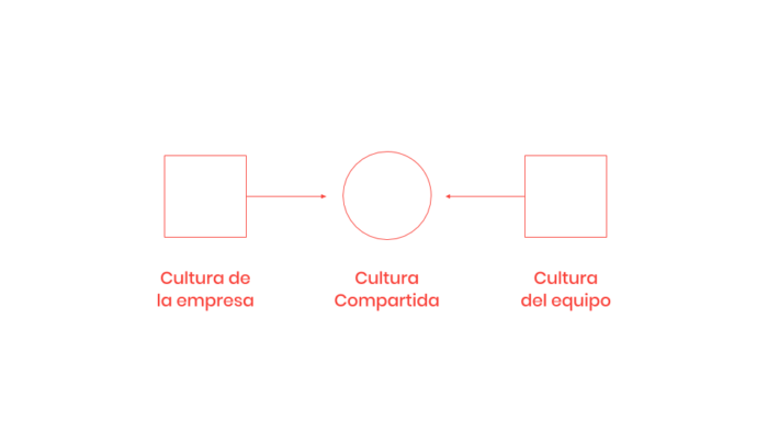 modelo de cultura compartida entre la organización y las personas